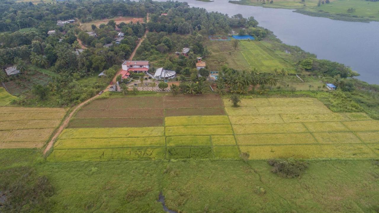 Nilambara Lake View Dambulla Extérieur photo